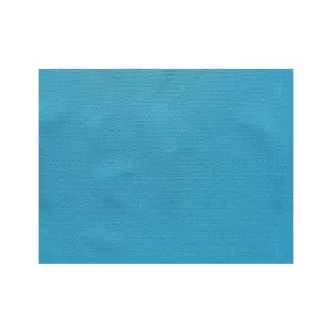 Set de table Turquoise Spunbond 30x40cm